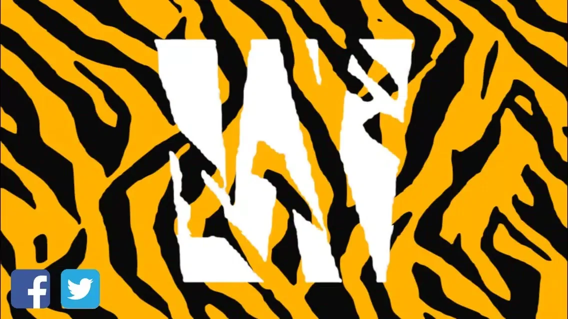 تصاویر Wild Cats Orchestra