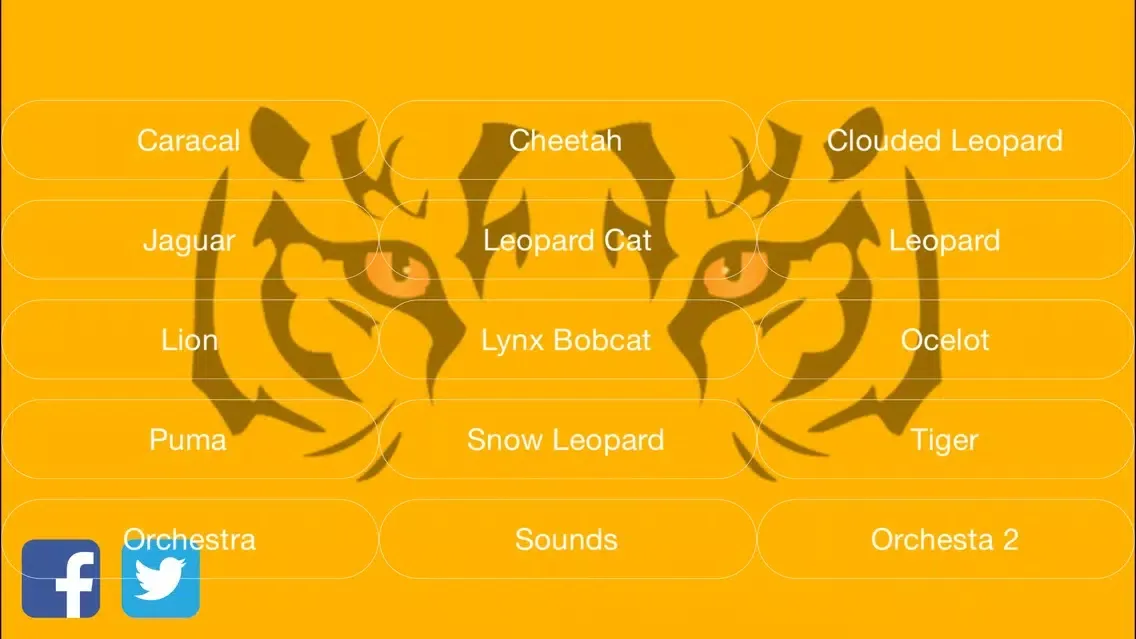تصاویر Wild Cats Orchestra