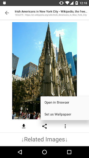 ImageSearchMan - Image Searchcapturas de pantalla de la aplicación4