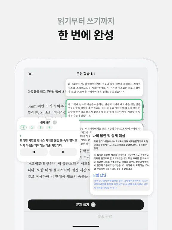 레서 : AI 국어 학습 튜터 iPad Screenshots