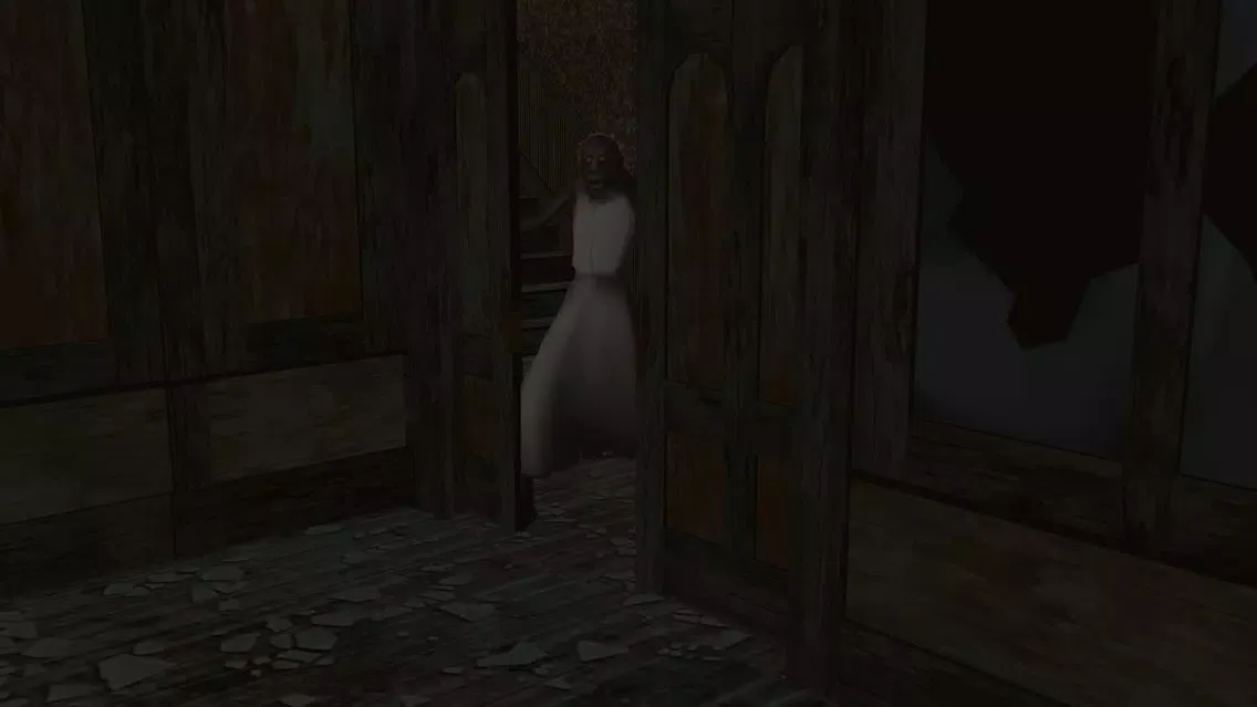 Scary Granny 스크린샷