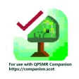 Companion Input