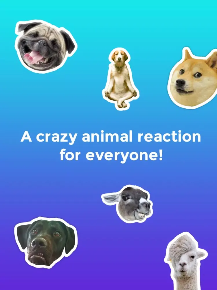Tangkapan skrin Crazy Animals! Funny animal reaction meme stickers iPad 