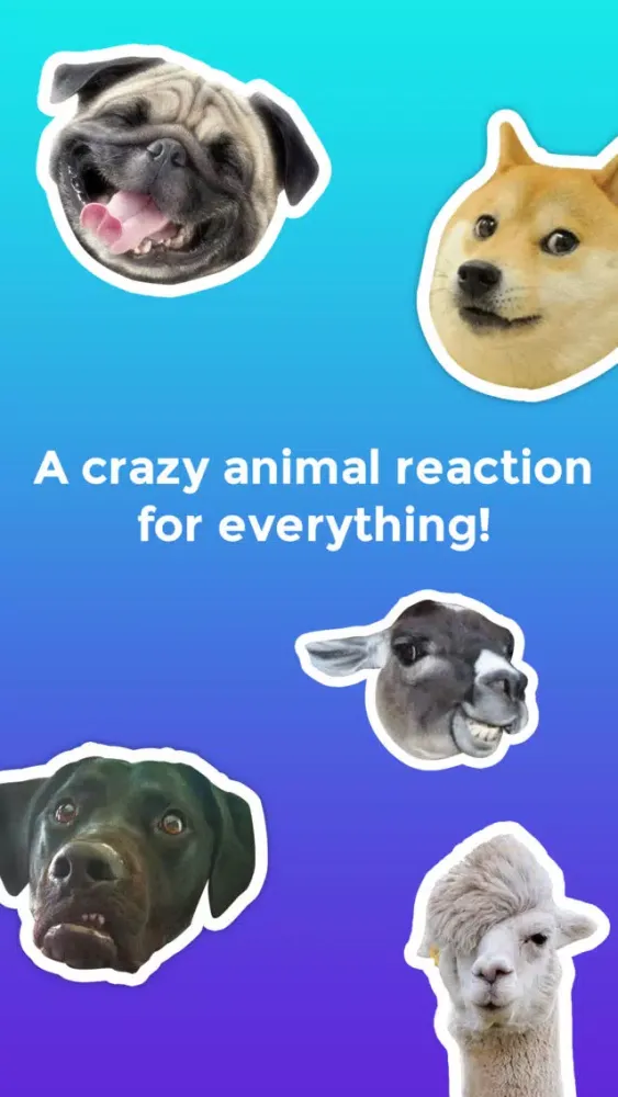 Tangkapan skrin Crazy Animals! Funny animal reaction meme stickers