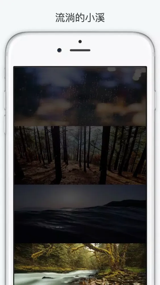 Natural Noise Screenshots