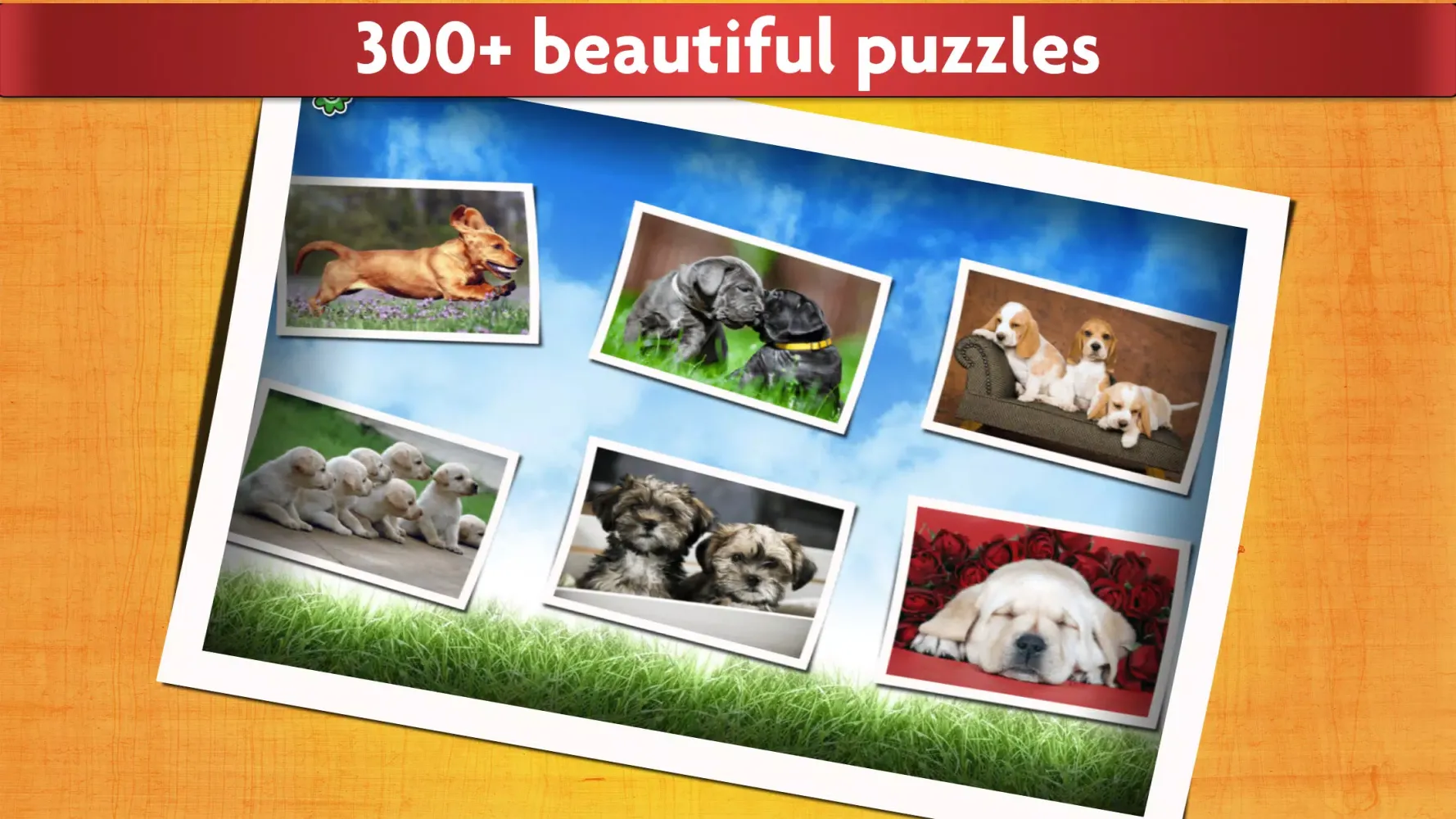 Capturas de pantalla de Puzzle Games Dogs Jigsaw