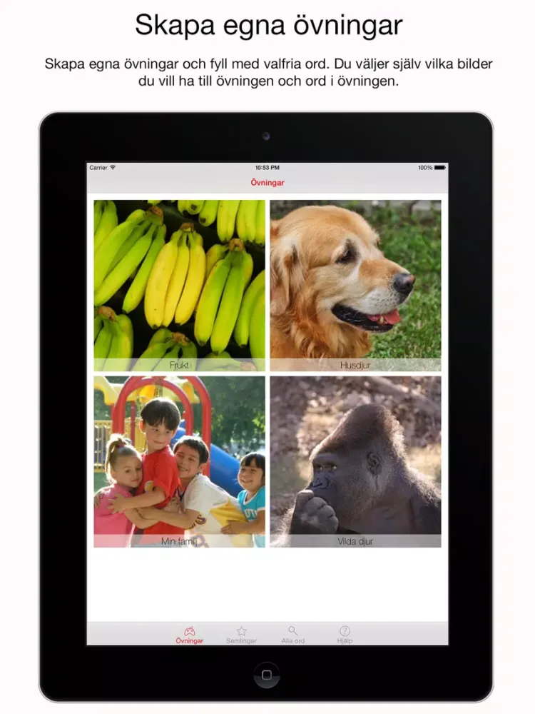 TAKK - Tecken som AKK iPad  স্ক্রিনশট