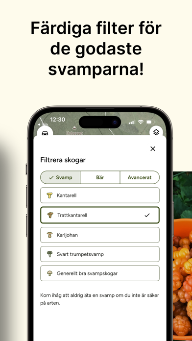 Capturas de pantalla de Hitta Skog