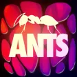 ANTS - THE GAME ANTS - THE GAME
