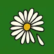 Celebrate the Day Stickers