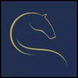 Wermland Equestrian Games