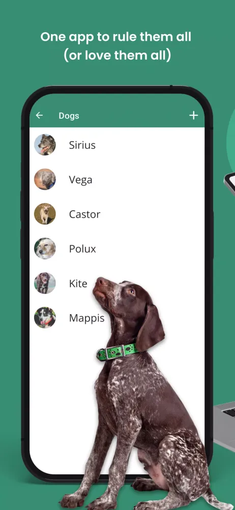 DogTracks Screenshots