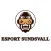 E-sport