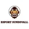E-sport
