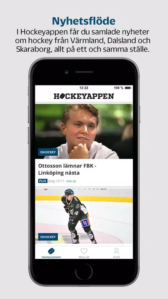 Скриншоты Hockeyappen