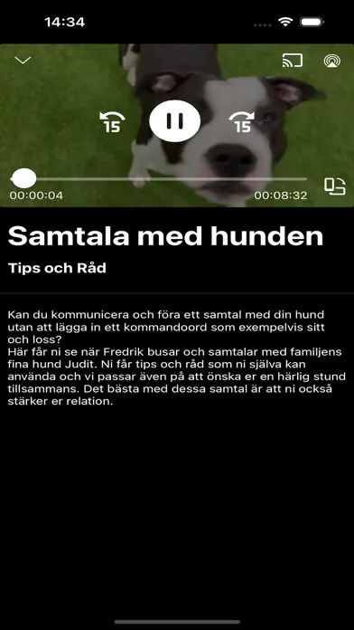 Fredrik Steen PLAY Screenshots