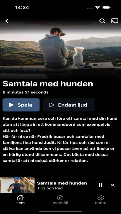 Fredrik Steen PLAY Screenshots