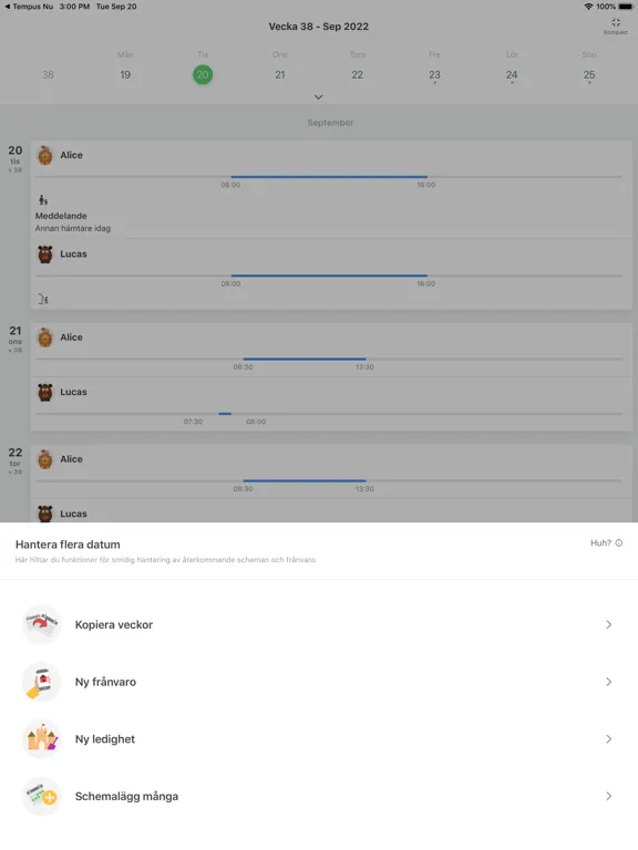 Tempus Hemma iPad 應用截圖