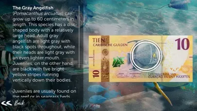 تصاویر My Caribbean Guilder