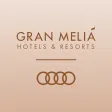 Meliá & Audi