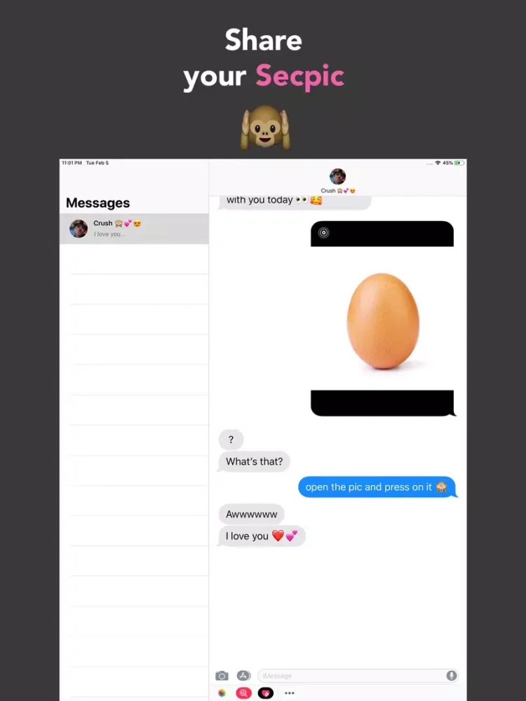 Ảnh chụp màn hình của Secpix: Create Secret Messages iPad 
