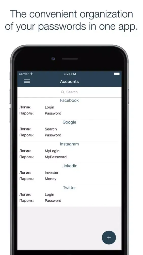 Passwall Pro Screenshots