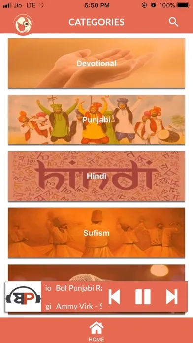 All Desi Radio应用截图