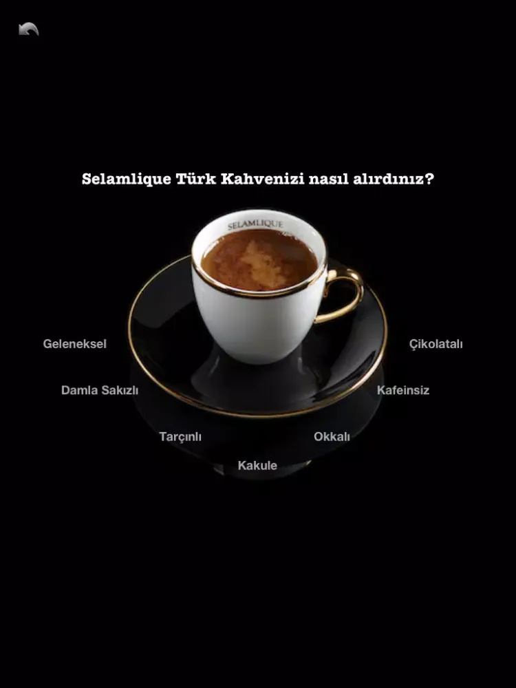 تصاویر Selamlique iPad 