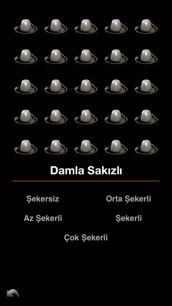 تصاویر Selamlique