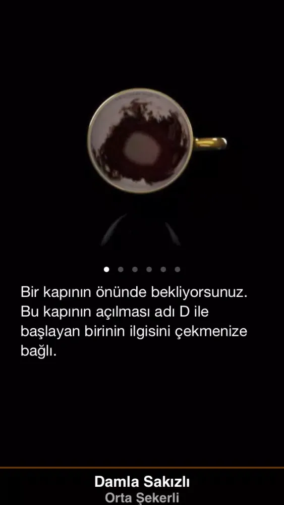 تصاویر Selamlique