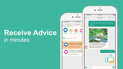 تصاویر CoVerse - Advice and Chat