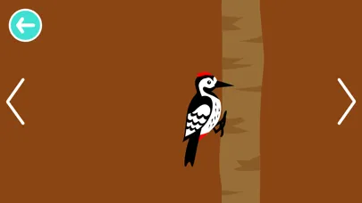 Black White Animals for Babies Screenshots