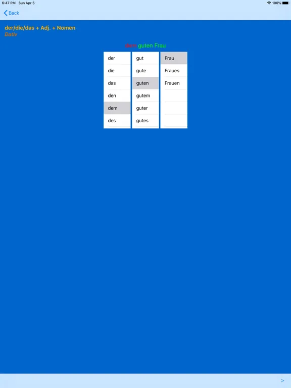 Capturas de tela do German Adjective Endings iPad 