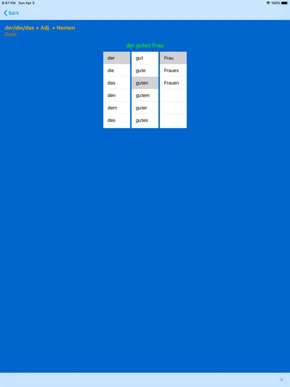 Capturas de tela do German Adjective Endings iPad 