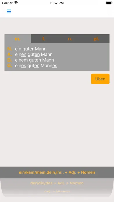 Capturas de tela do German Adjective Endings