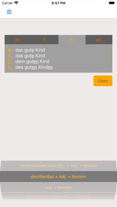Capturas de tela do German Adjective Endings