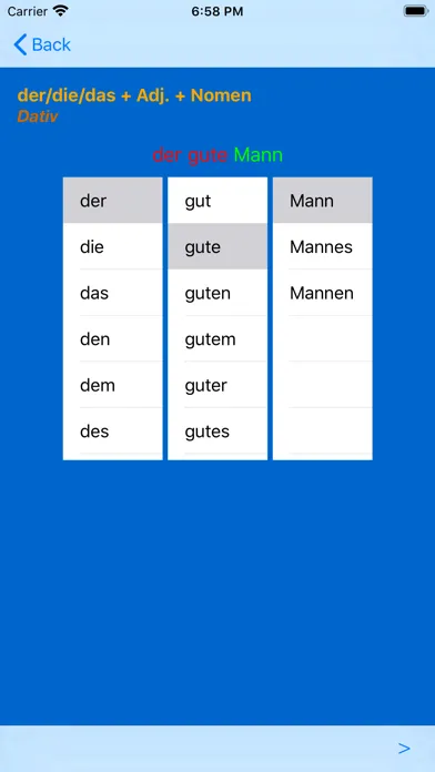 Capturas de tela do German Adjective Endings