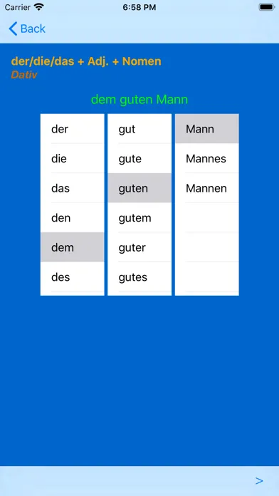 Capturas de tela do German Adjective Endings