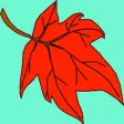 Leaf Adventure