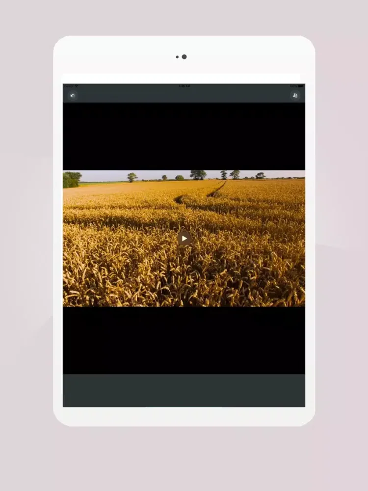 Add music and sound to video iPad  Screenshots