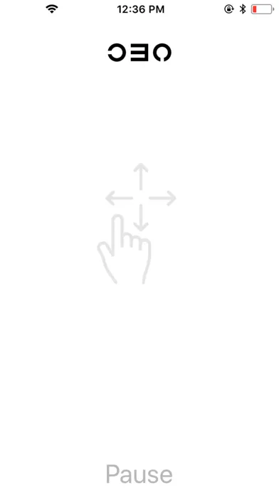 Senaptec Remote应用截图