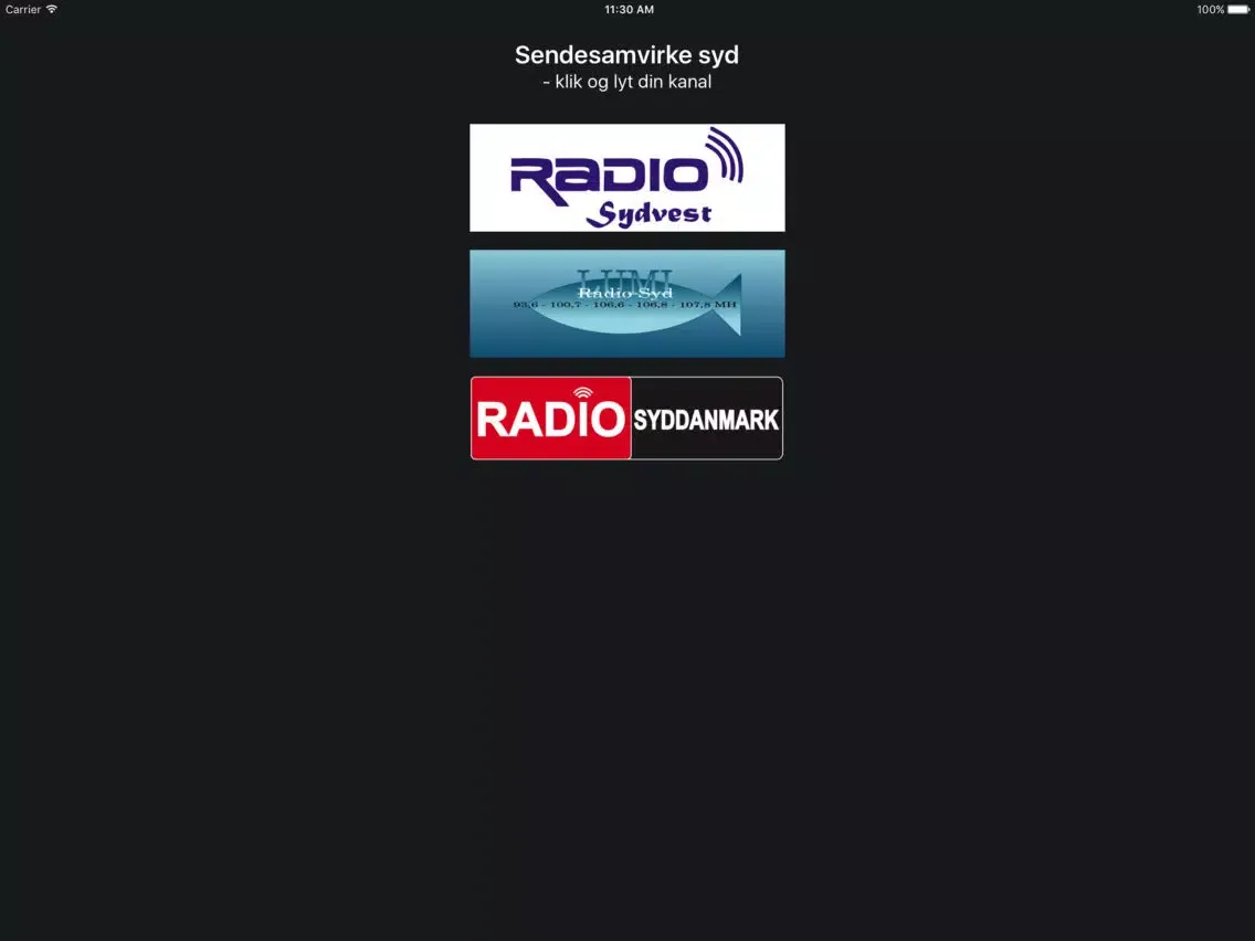 ภาพหน้าจอของ Sendesamvirke iPad 