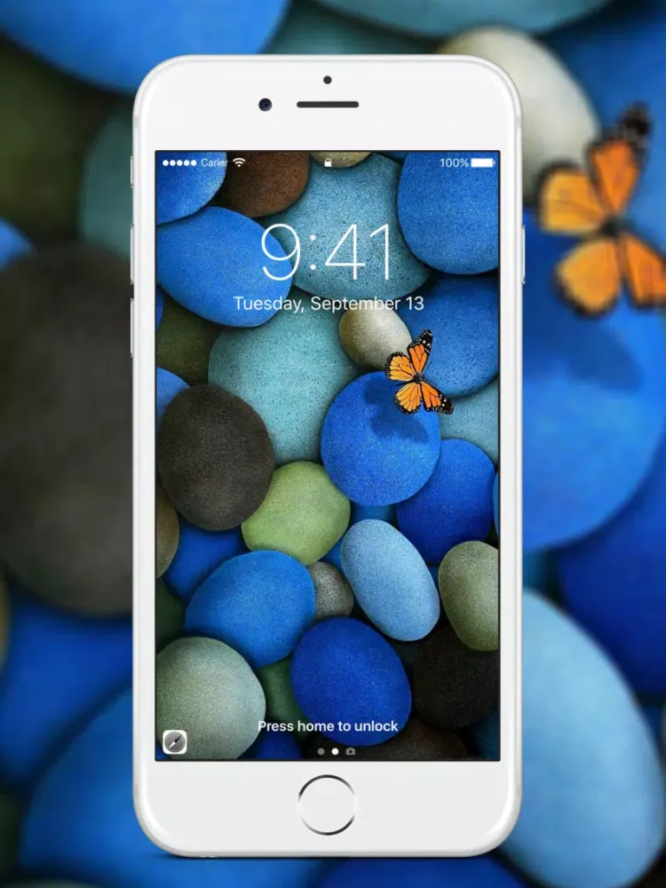 Wallpapers and Theme Designer iPad  স্ক্রিনশট