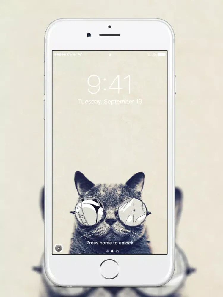 Wallpapers and Theme Designer iPad  স্ক্রিনশট