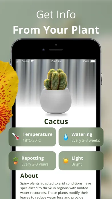 ภาพหน้าจอของ Plantic - Plant identifier