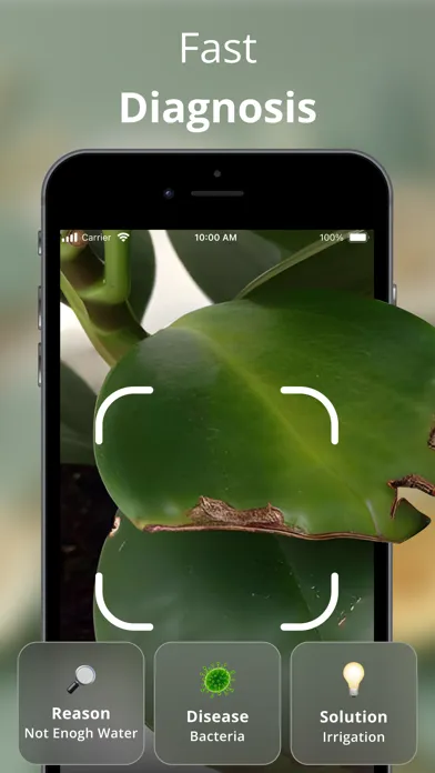 ภาพหน้าจอของ Plantic - Plant identifier