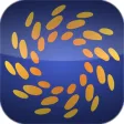 SFCE by Expo Tracker, LLC