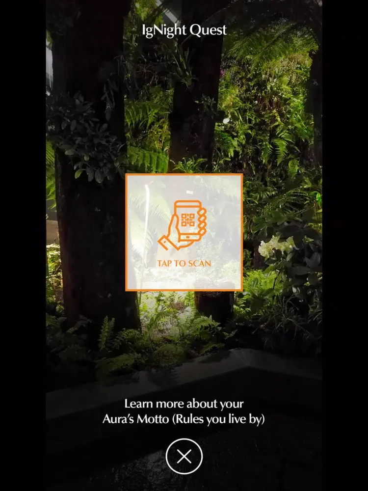 IgNight by Brand's® iPad 應用截圖