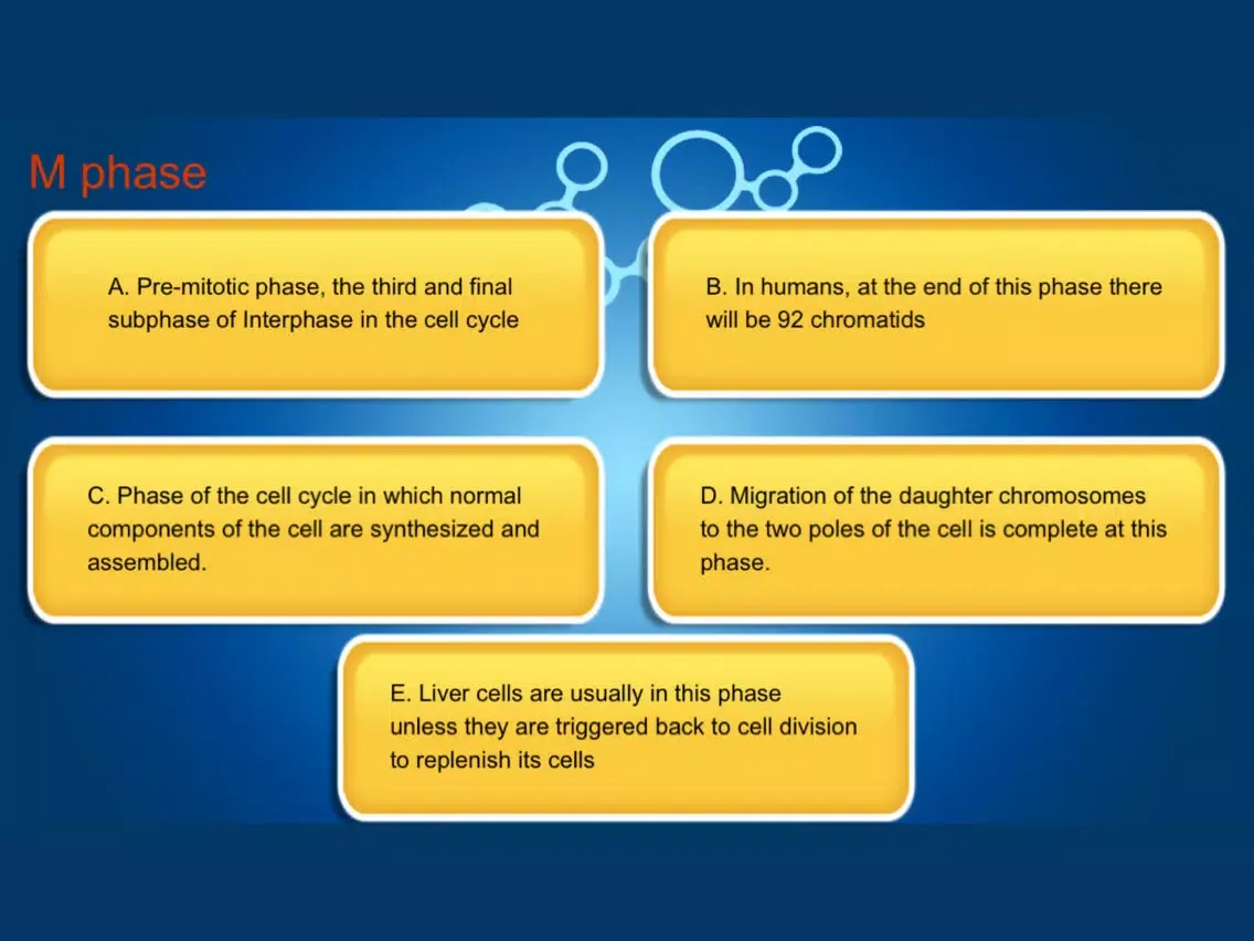 Capturas de pantalla de CellCycle iPad 
