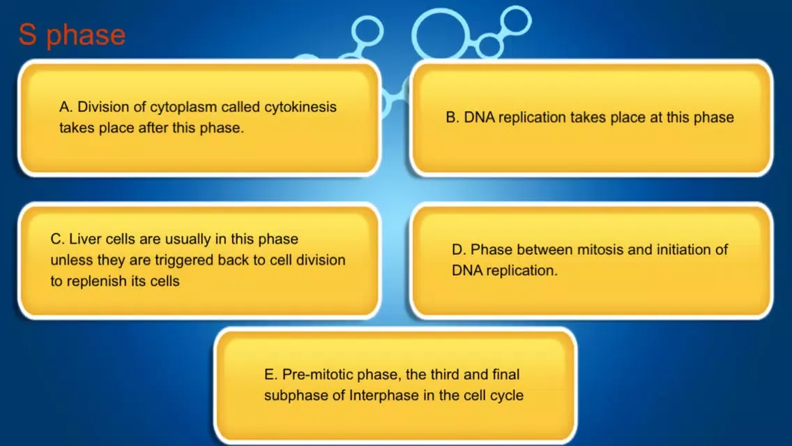 Capturas de pantalla de CellCycle